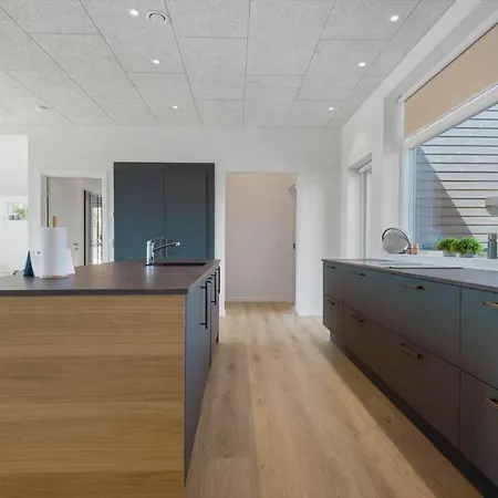 Bv443-blavand-horns-bjerge-39 Ferienhaus